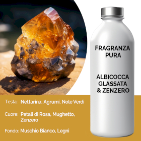 Fragranza Pura - Albicocca Glassata & Zenzero - 500g