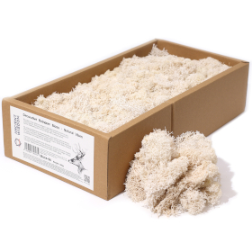 Muschio di Renna Decorativo 500g  - Naturale