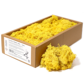 Muschio di Renna Decorativo 500g  - Giallo