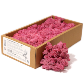 Muschio di Renna Decorativo 500g - Rosa