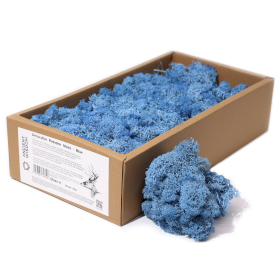 Muschio di Renna Decorativo 500g - Blu