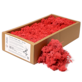 Muschio di Renna Decorativo 500g - Rosso