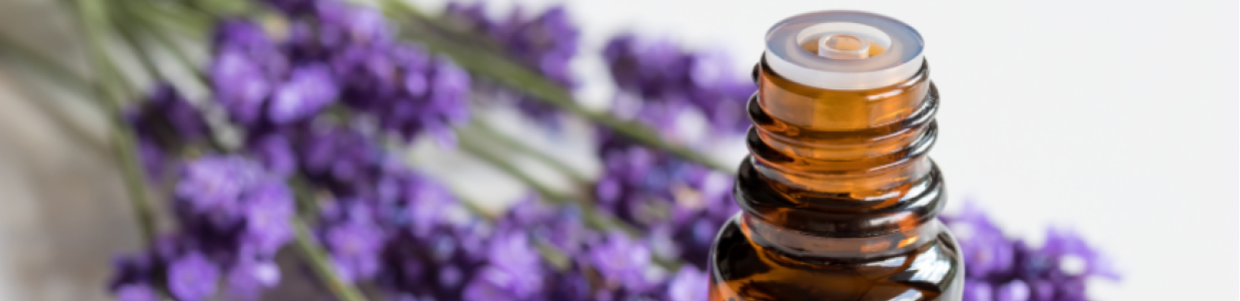 Benefici dell'Olio Essenziale di Lavanda - Grossista B2B