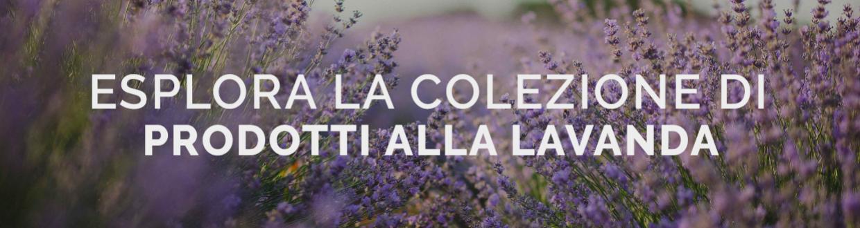 Grossista di prodotti alla lavanda B2B